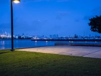 a lone street lamp lights up a nighttime beachfront park by a body of water