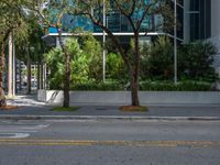 an empty parking lot with three street signs near a row of trees and bushes,