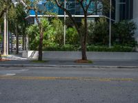 an empty parking lot with three street signs near a row of trees and bushes,