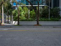 an empty parking lot with three street signs near a row of trees and bushes,