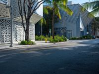 Miami Shopping: Embracing the City Life