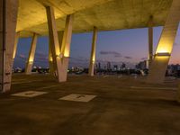 Miami Skyline at Dawn: A View of Skyscrapers