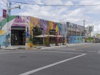 Miami Street Art in Suburban Neighborhood