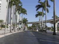 a deserted street in an urban area with palm trees lining the sidewalks and bridges overhead