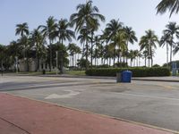 a parking area with tall palm trees and trash can in it and people walking past