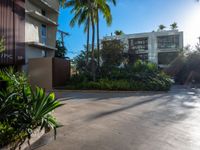 the entrance to an apartment with palms trees and bushes in the foreground, next to a concrete driveway