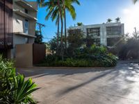 the entrance to an apartment with palms trees and bushes in the foreground, next to a concrete driveway