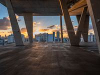 Miami Sunshine: A Dawn View of the Skyline