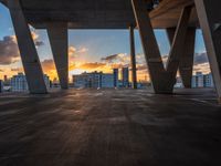 Miami Sunshine: A Dawn View of the Skyline