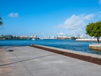 a tree and sea wall next to the water in a city with tall buildings on both sides