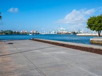 a tree and sea wall next to the water in a city with tall buildings on both sides