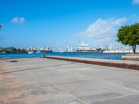 a tree and sea wall next to the water in a city with tall buildings on both sides