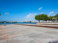 a tree and sea wall next to the water in a city with tall buildings on both sides