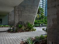 an empty sidewalk surrounded by plants in a park area with tall buildings in the background