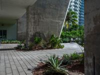 an empty sidewalk surrounded by plants in a park area with tall buildings in the background