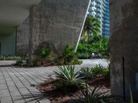 an empty sidewalk surrounded by plants in a park area with tall buildings in the background