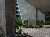 a courtyard with concrete walls and plants growing in the pots near each other and skyscraper building