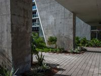 a courtyard with concrete walls and plants growing in the pots near each other and skyscraper building