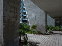 a courtyard with concrete walls and plants growing in the pots near each other and skyscraper building