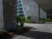 a courtyard with concrete walls and plants growing in the pots near each other and skyscraper building