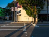 Miami's Urban Design: A Road Crossing at Dawn