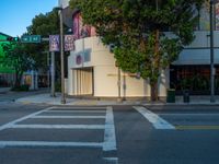 Miami's Urban Design: A Road Crossing at Dawn