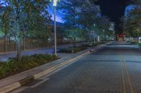 the sidewalk by the building has several green trees at night time and a man stands on a long brick path holding an umbrella