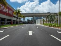 Miami's Urban Park Road on a Sunny Day