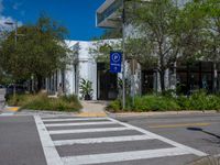 there is a large building near a crosswalk and trees in front of it for parking