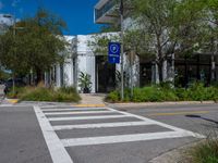 there is a large building near a crosswalk and trees in front of it for parking