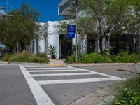 there is a large building near a crosswalk and trees in front of it for parking