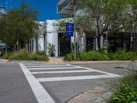 there is a large building near a crosswalk and trees in front of it for parking