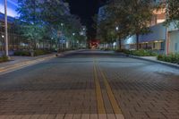 Miami's Urban Night Road with Street Lights