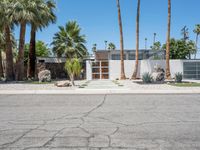 the front entrance to a desert home with several palm trees and shrubs around the entry