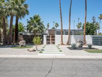 the front entrance to a desert home with several palm trees and shrubs around the entry