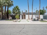 the front entrance to a desert home with several palm trees and shrubs around the entry