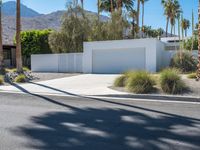 Mid-Century Home in California: Suburban Entryway