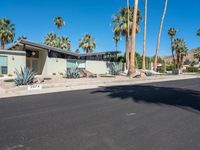 the empty street in front of a home with palm trees in the background and signs indicating an area where there is no grass