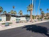 the empty street in front of a home with palm trees in the background and signs indicating an area where there is no grass