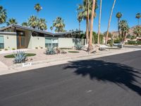 the empty street in front of a home with palm trees in the background and signs indicating an area where there is no grass