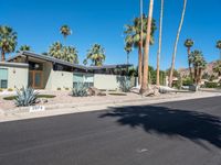 the empty street in front of a home with palm trees in the background and signs indicating an area where there is no grass