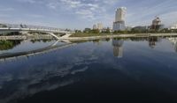 Milwaukee Skyline with Suspension Bridge and Harbor