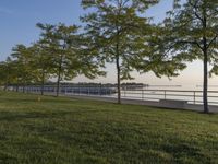 an empty park with grassy area and benches in it and a dock behind the trees