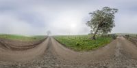 the camera has distorted shots of a dirt road and a truck in a field of grass