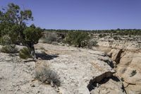 Moab Canyonlands: Rugged Crag with Erosion