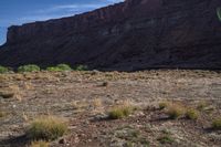 a dog sitting on a horse in the middle of a dry field surrounded by mountains