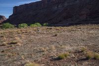 Moab Canyonlands: A Red Rock Landscape