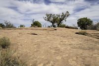 a dirt hillside with trees and bushes on top of it and blue sky above the hills