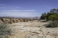 this canyon is in the middle of the desert, and in between two cliffs is an area where there are trees and bushes