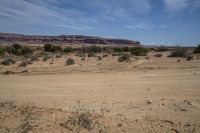 the desert is clean and barren and needs people to go to it on their motorcycle